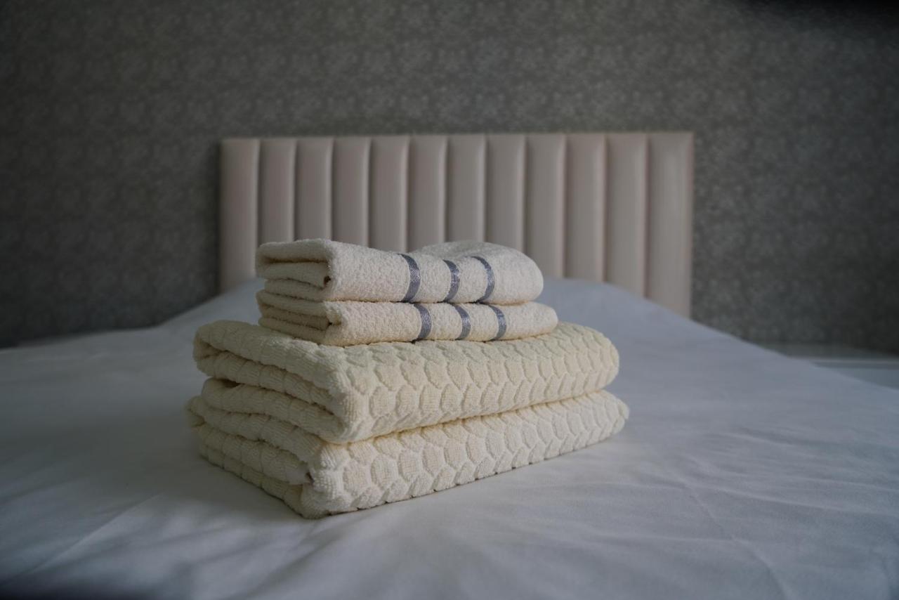 Nice And Comfortable Apartment In The Downtown Of ビシュケク エクステリア 写真